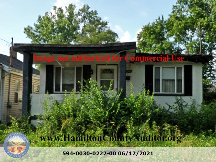 Photo 06/12/2021